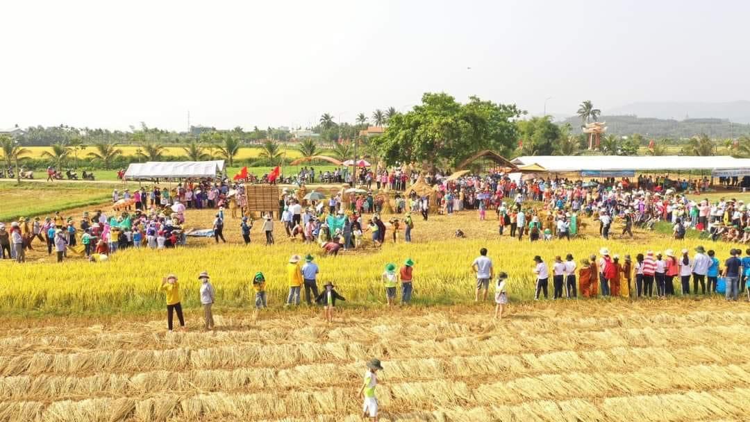 Hoạt động trẻ em tham gia thu hoạch lúa cùng các bác nông dân